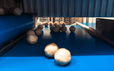 Skillnaden mellan kroppkaka och palt – 5 viktiga skillnader