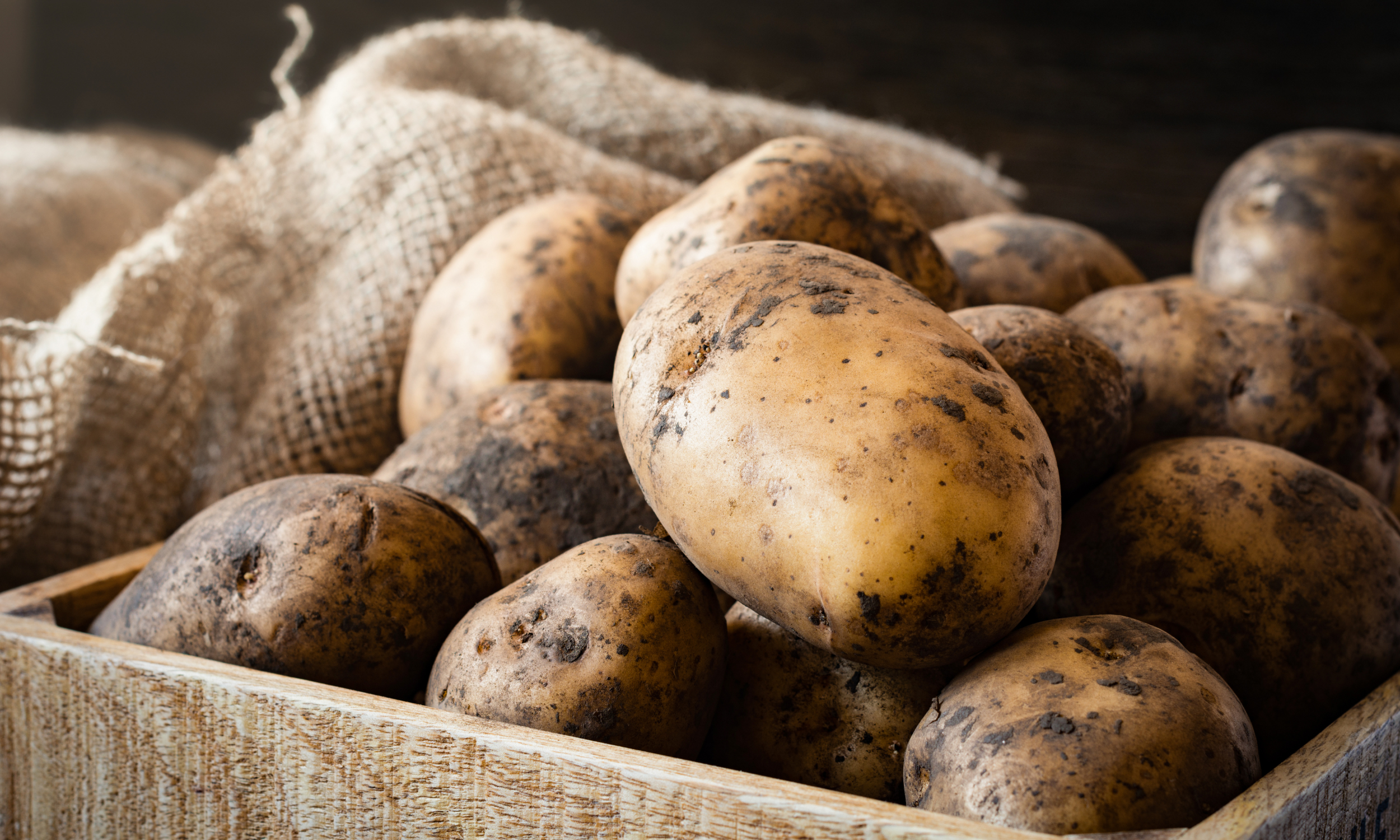 Potatis - en del av kroppkakans historia